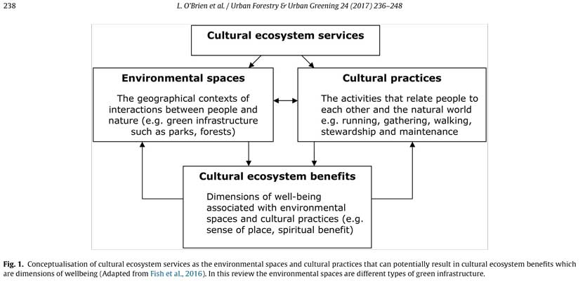 Cultural ecosystem benefits of urban and peri-urban green infrastructure across different European countries