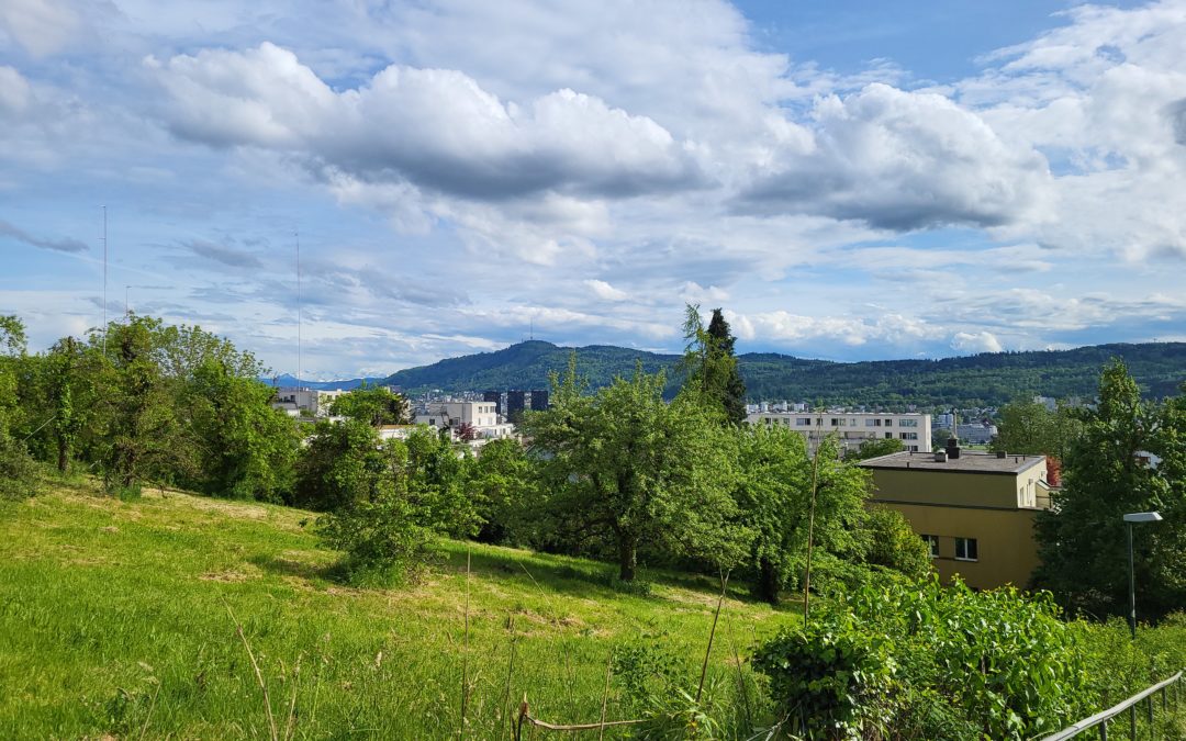 Forum WSL Suisse Romande 2024: Cinquante nuances de vert en ville
