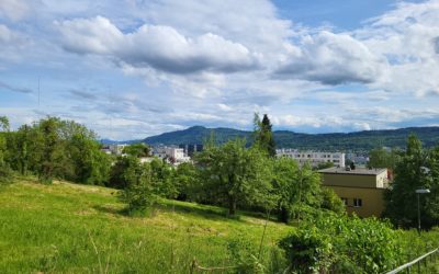 Forum WSL Suisse Romande 2024: Cinquante nuances de vert en ville