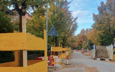 Cours sur la protection des arbres sur les chantiers