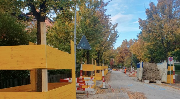Cours sur la protection des arbres sur les chantiers