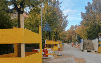 Kurs Baumschutz auf Baustellen