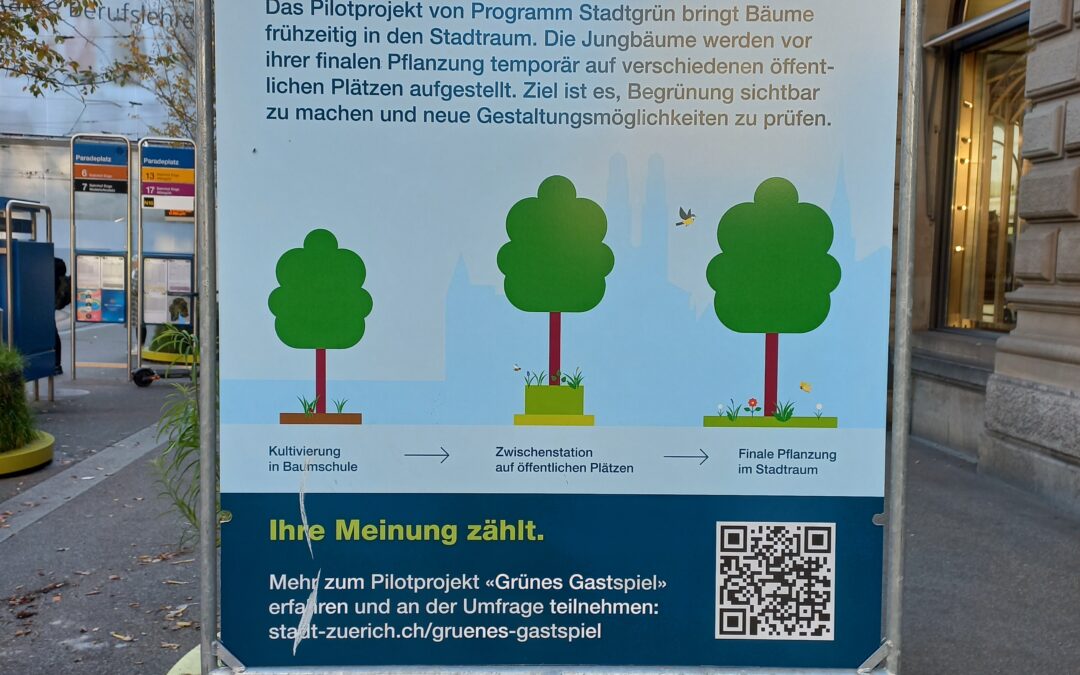 Les essences d’arbre de l’avenir